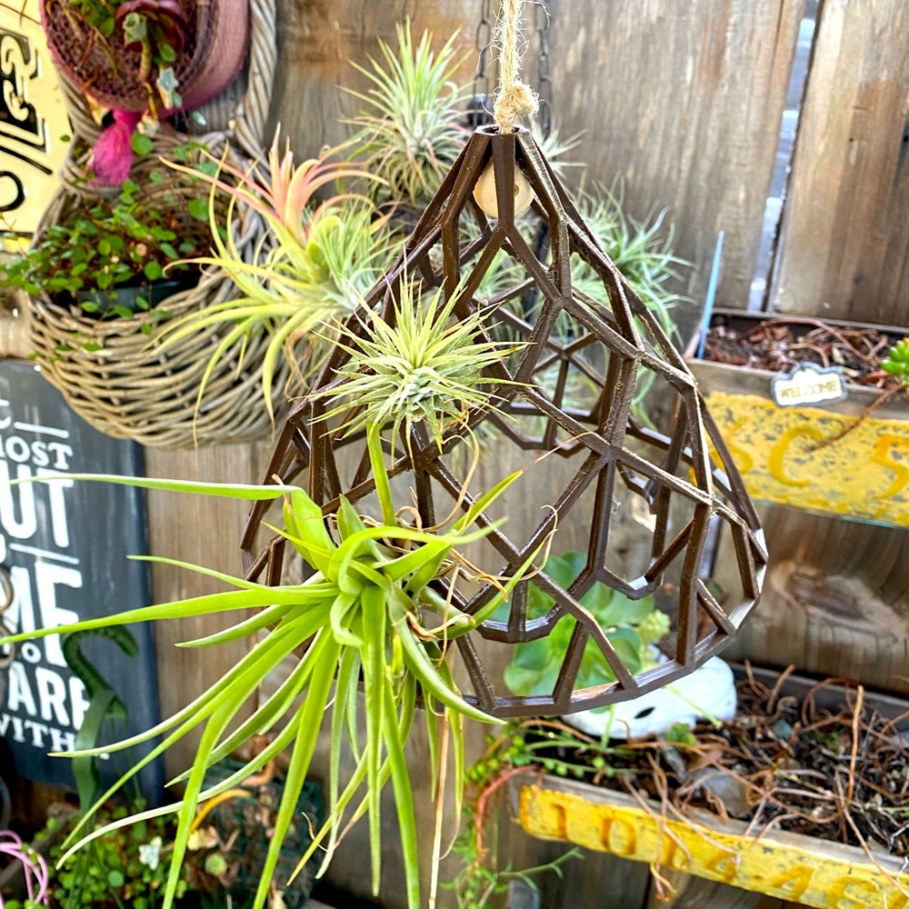 3D print airplant/ Spanish moss mobile hanger one of a kind